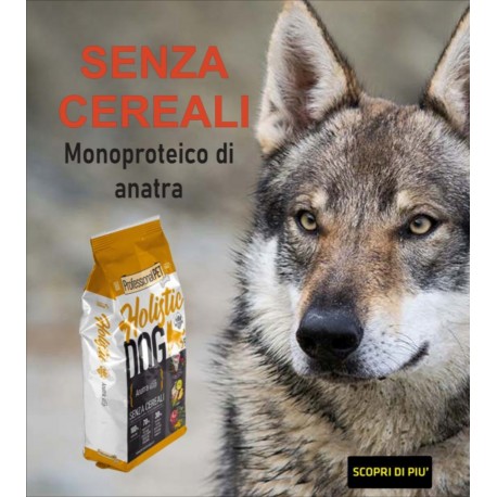 Bio Vis Anatra e Patate kg18