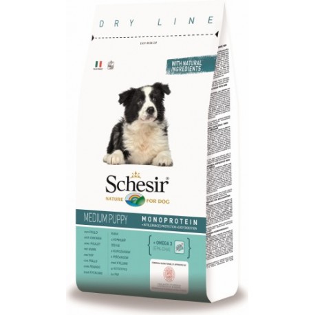 Scesir Cane Puppy Medium Pollo