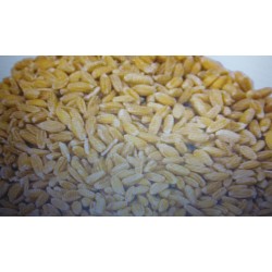 Grano intero kg 25