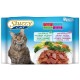 Stuzzy Cat Busta 4x100gr 