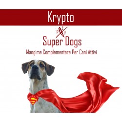 KRYPTO SUPER DOG