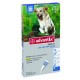 Advantix Cani oltre 25 kg