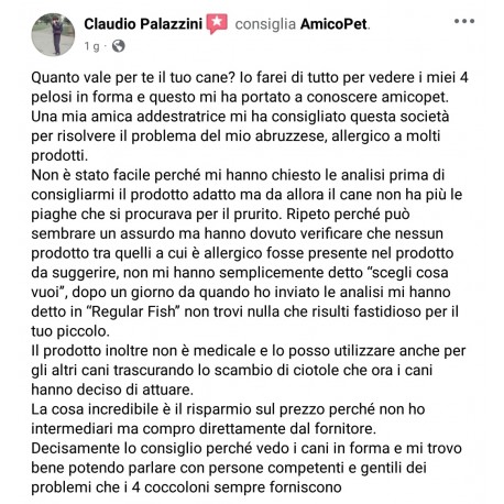 RECENSIONI E TESTIMONIANZE DEI NOSTRI CLIENTI 