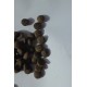ALTA ENERGIA 30/20 MAIALE 20kg
