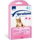 Fipralone Gatto