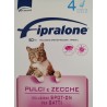 Fipralone Gatto 1 fiala