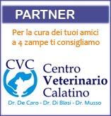 Centro Veterinario Calatino - De Caro, Di Blasi, Musso